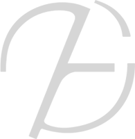 Logo de Graph Synergie au chargement de la page